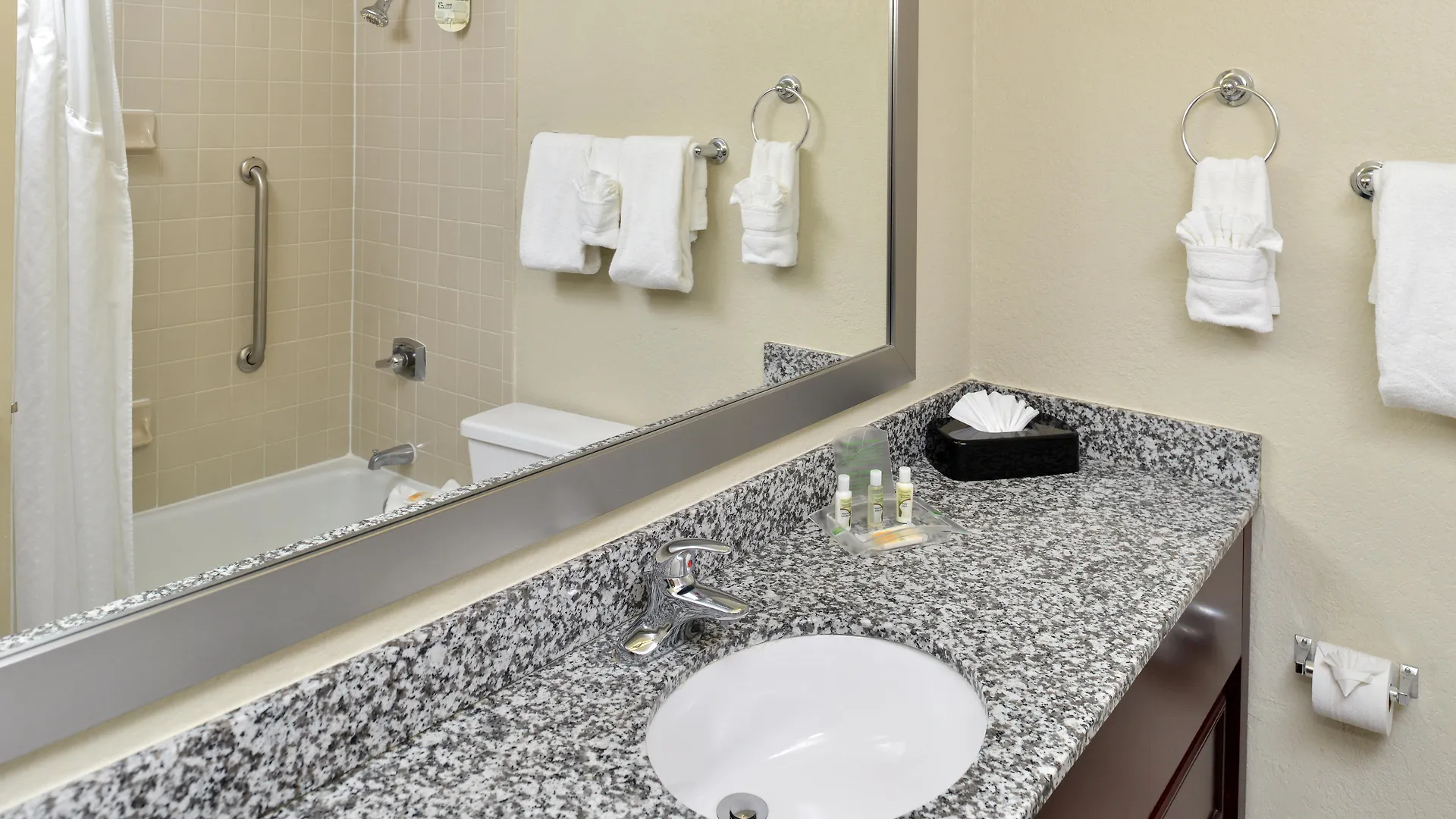 Holiday Inn St. Petersburg N - Clearwater, An Ihg Hotel Estados Unidos da América