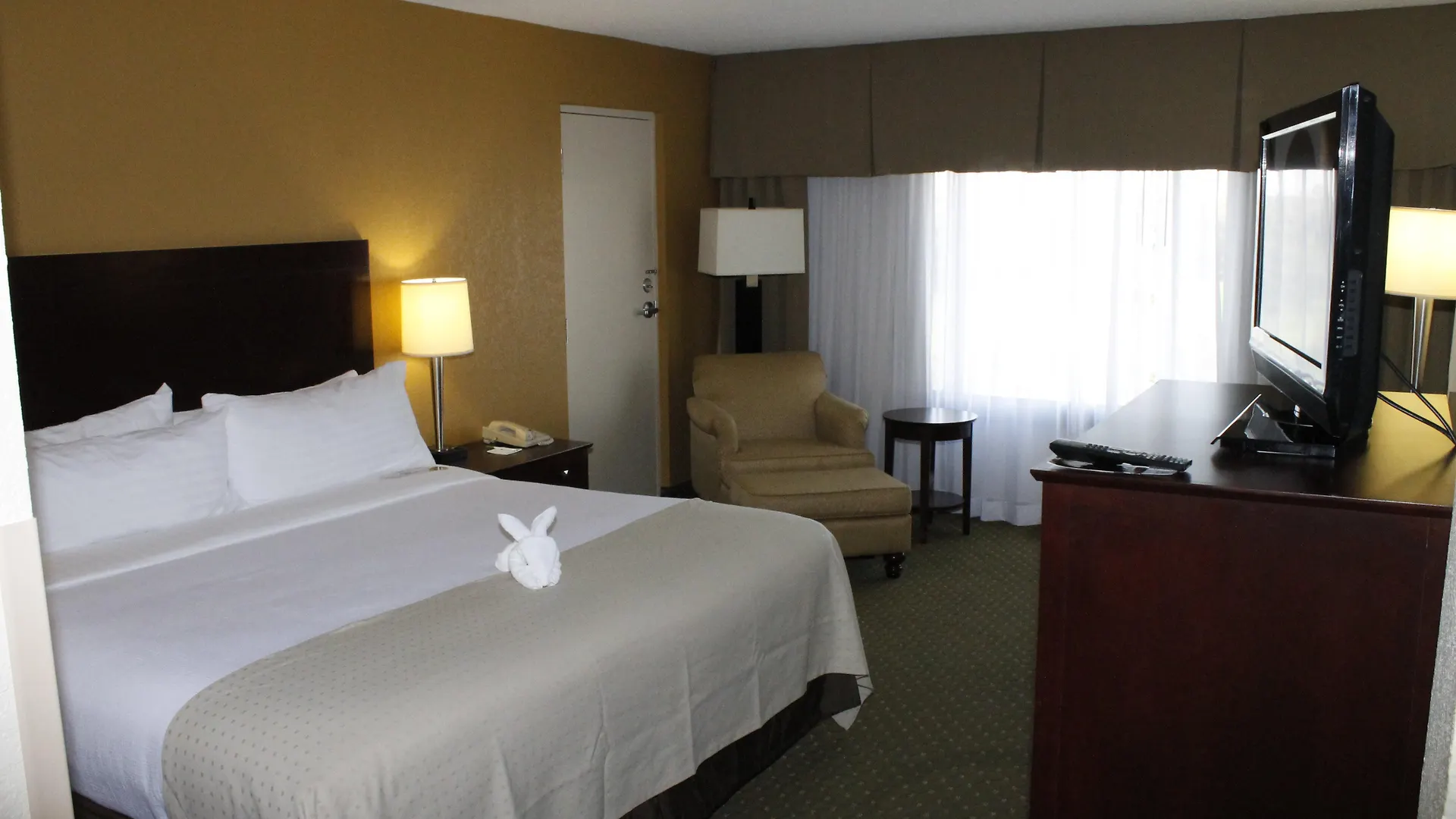 Holiday Inn St. Petersburg N - Clearwater, An Ihg Hotel