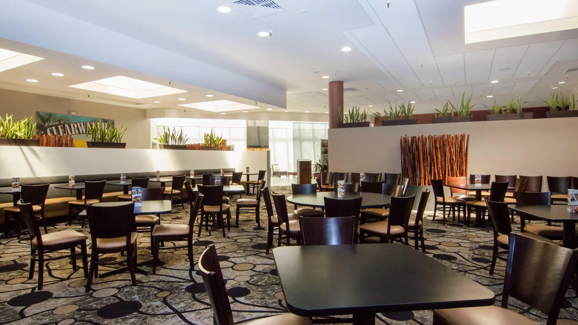 Holiday Inn St. Petersburg N - Clearwater, An Ihg Hotel Clearwater